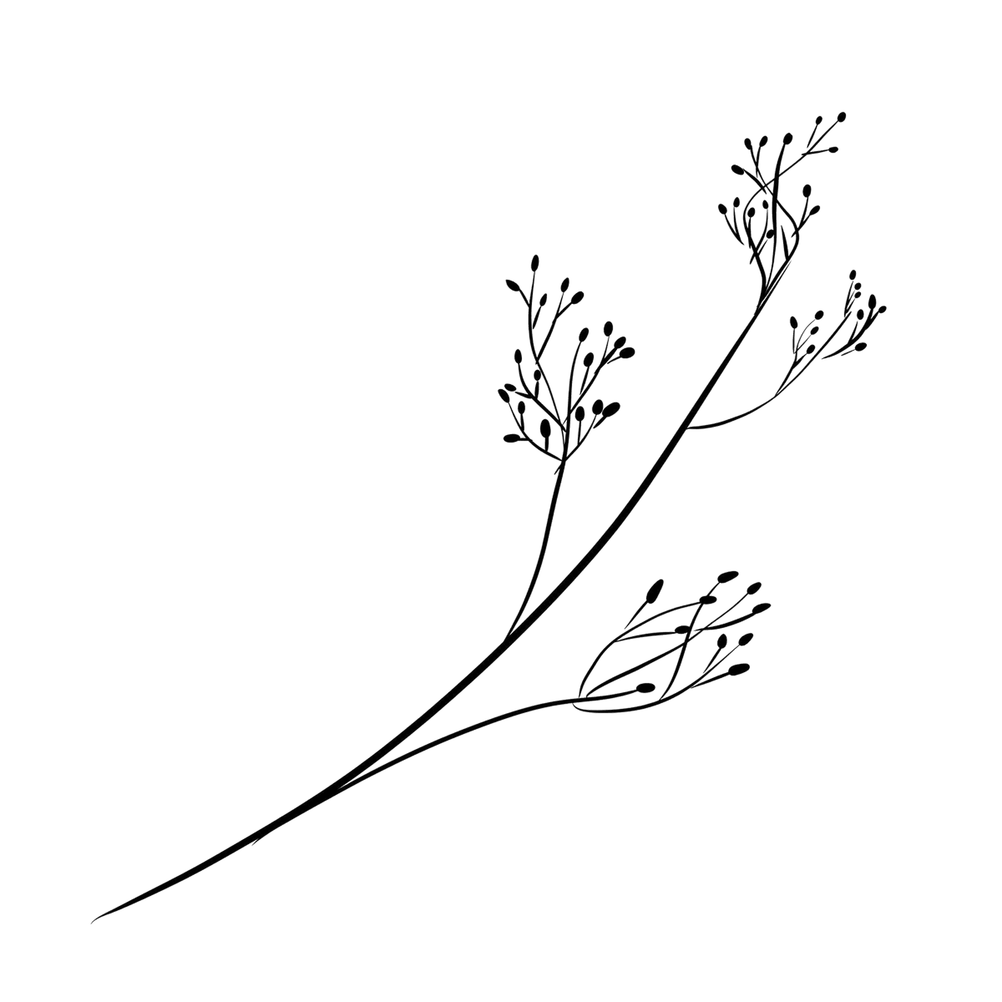 Floral Leaf